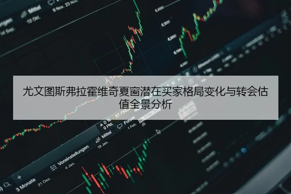 尤文图斯弗拉霍维奇夏窗潜在买家格局变化与转会估值全景分析